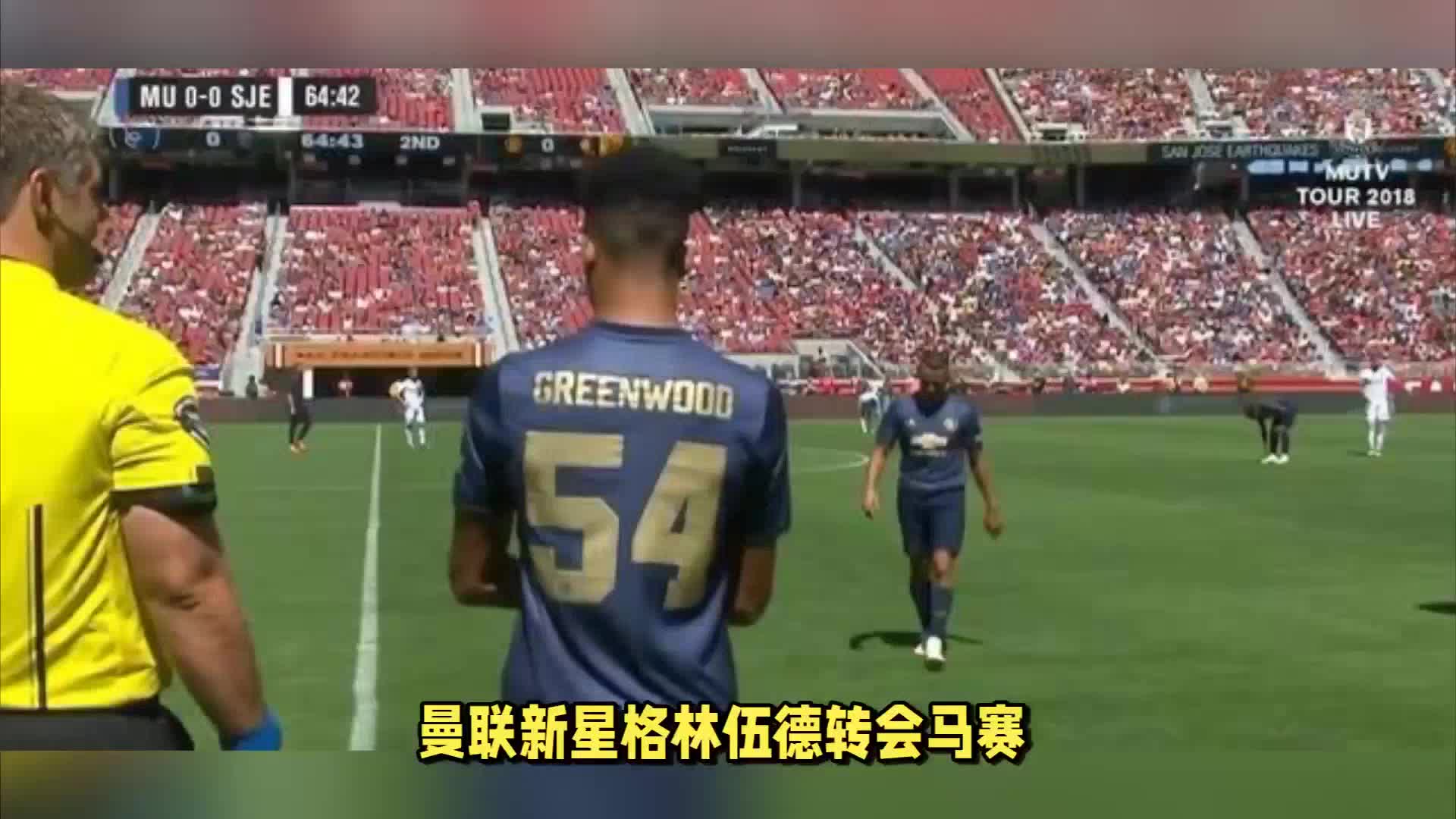 武汉三镇队