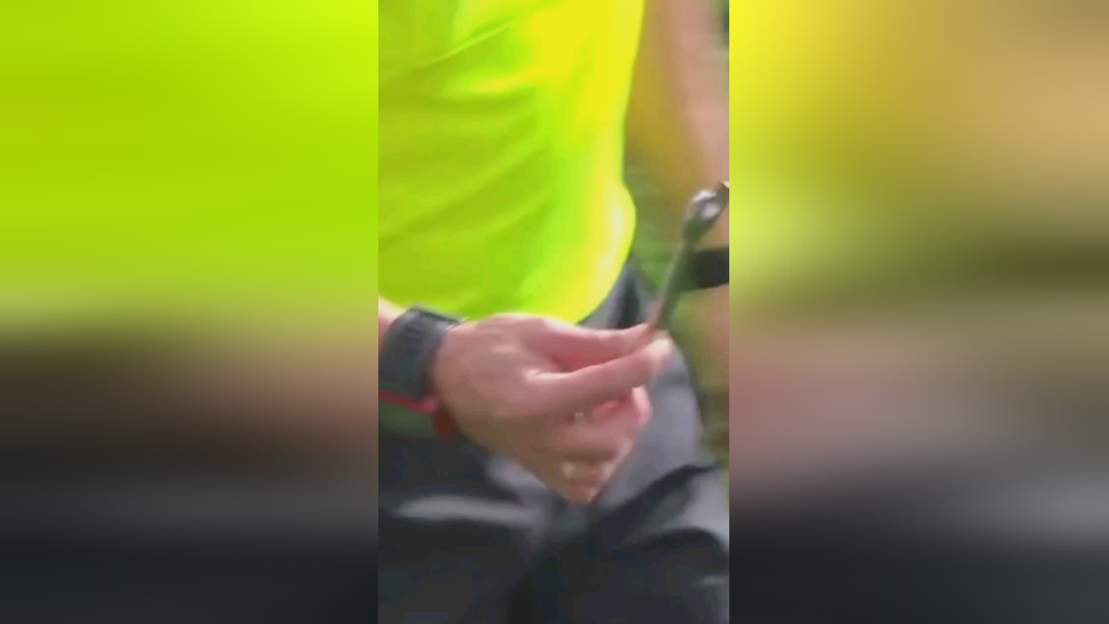 我们都热