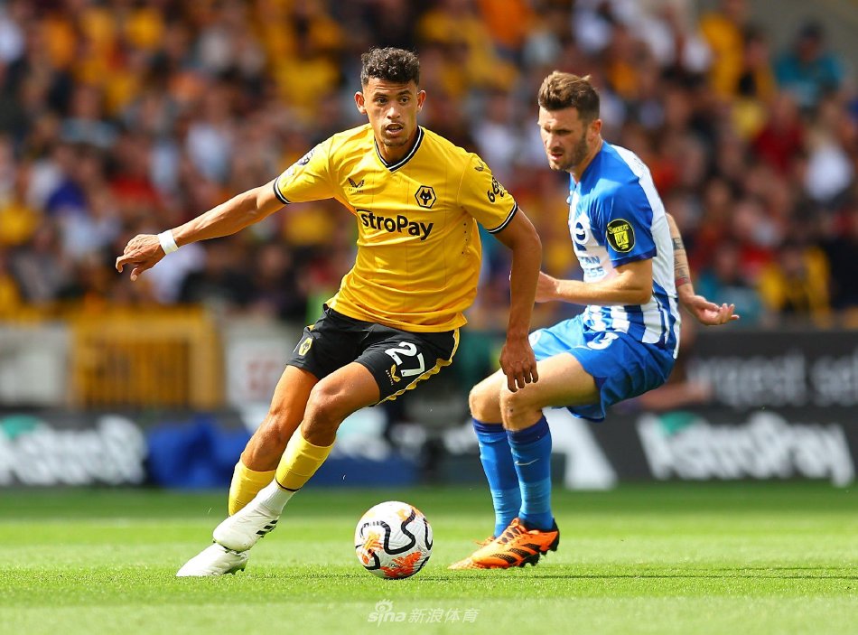 展开的比赛 展开的比赛